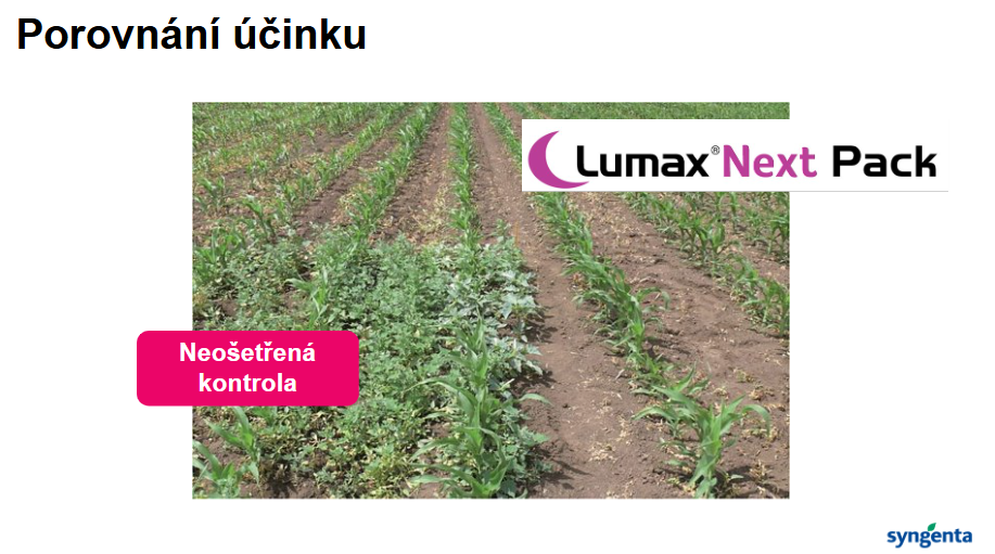 lumax