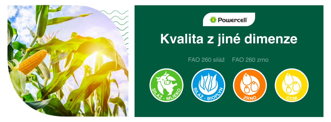 image_amfora.png