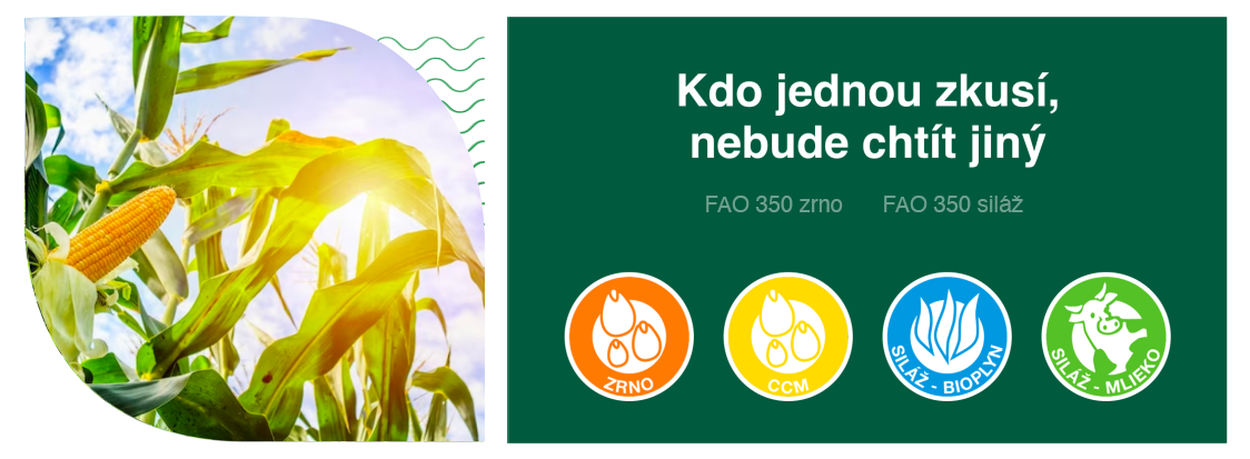 image_solandri_1.png