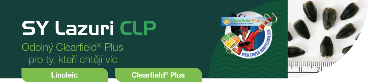 lazuri-banner