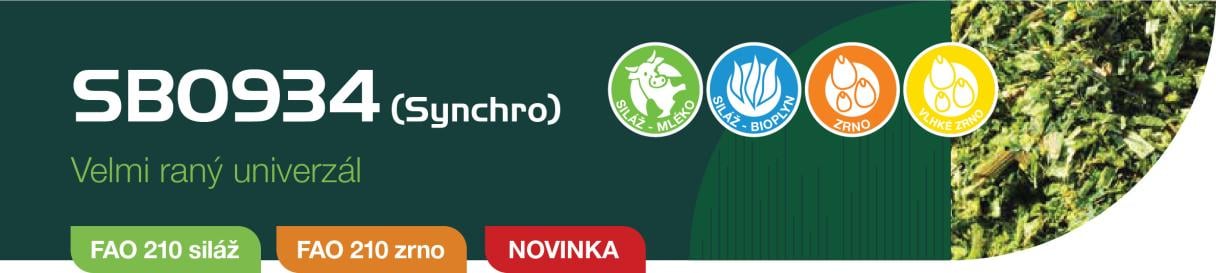 cz_k_synchro.jpg