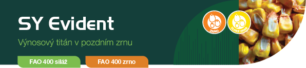 evident-banner