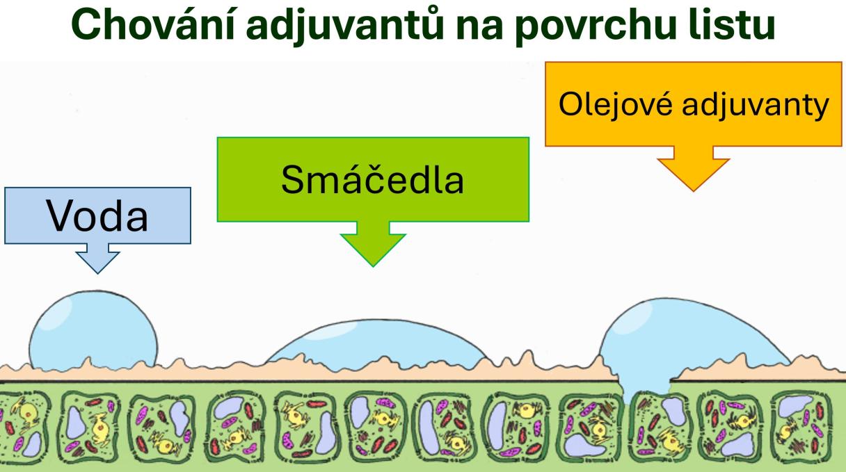 4_0.jpg