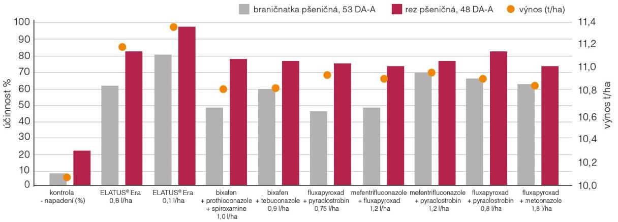 Účinnost fungicidního ošetření.jpg