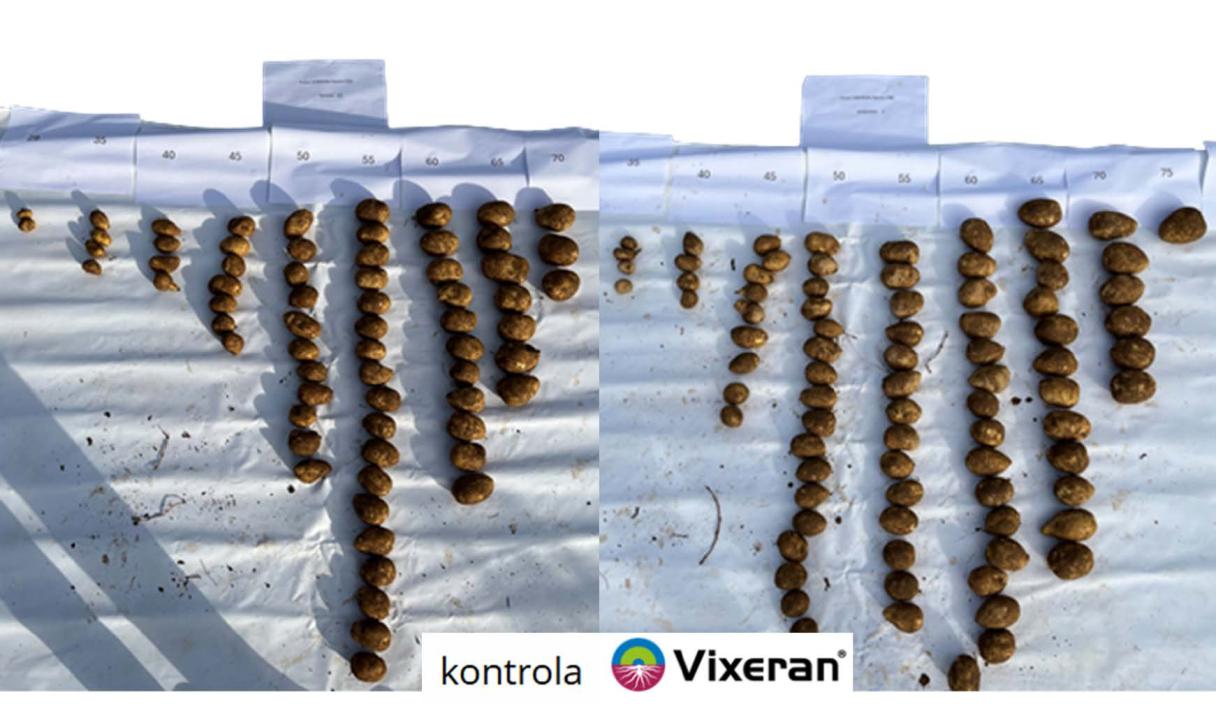 Vixeran