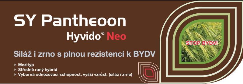 Baner SY Pantheon; hybridní rýže, siláž i zrno, s logem a znakem hybridu Neo
