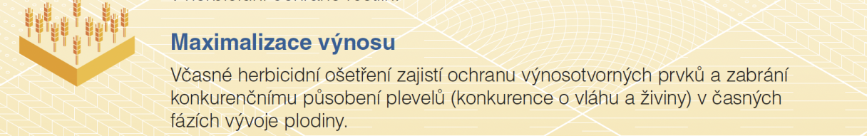 Žlutý banner s textem „Maximalizace výnosu“ a ikonou grafu se šipkou nahoru