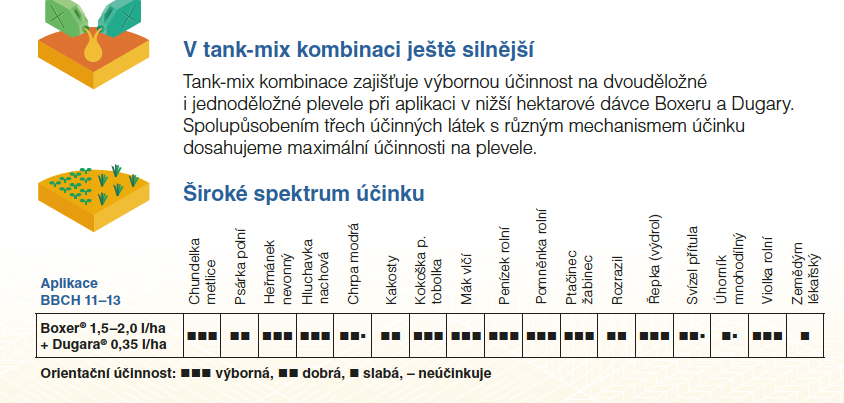 Graf srovnání spotřeby elektřiny různých žárovek v kWh a Kč za rok.