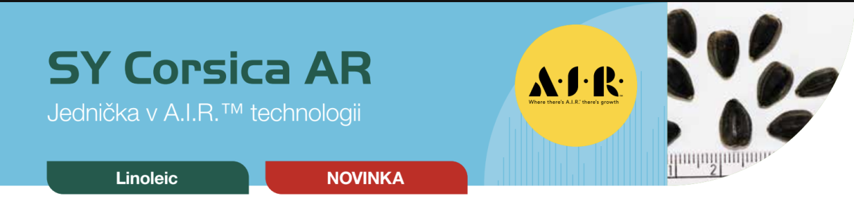 Banner SY Corsica AR s logy AIR a listy, text „technická a VIP AR® technologie“