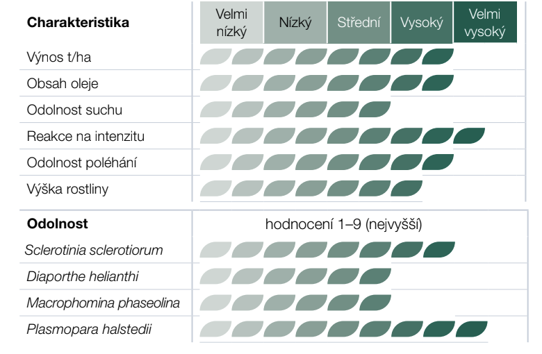 Infografika o charakteristikách a dovednostech s hodnocením 1–9 hvězdami