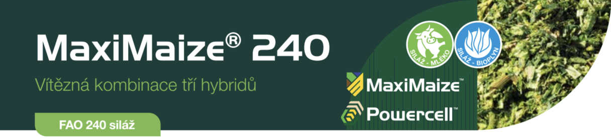 maximaize-240