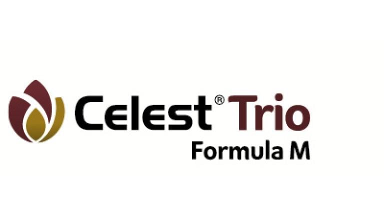 celest trio Syngenta 