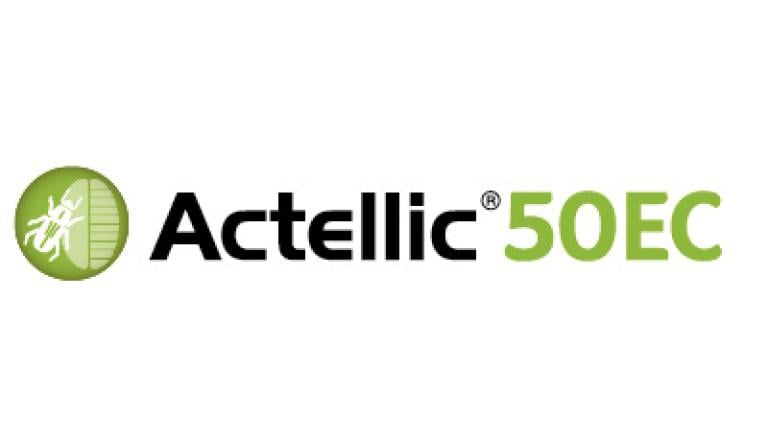 Actellic Syngenta 