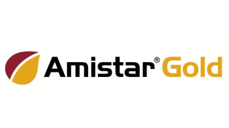 amistar_gold_logo Syngenta