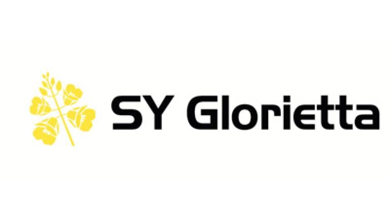 SY Glorietta řepka Syngenta