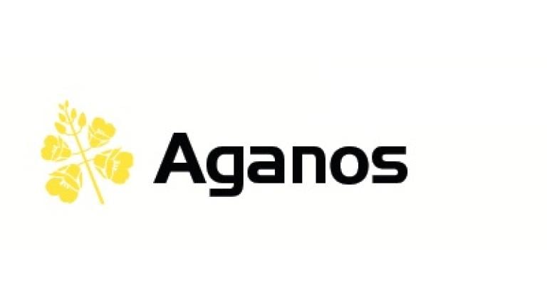 Aganos řepka Syngenta