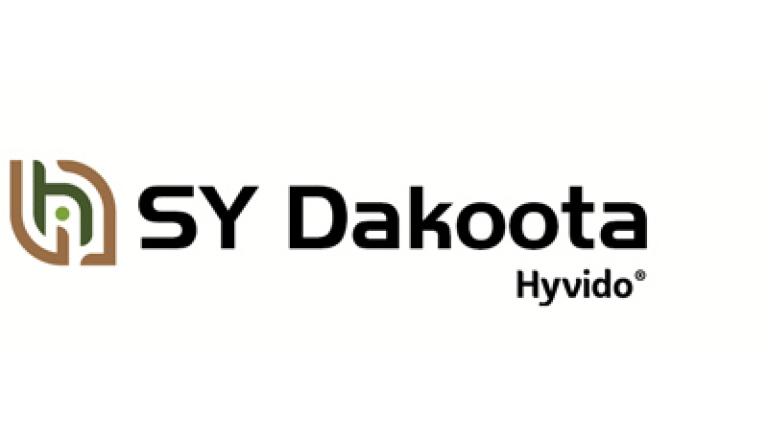 SY Dakoota hybridní ozimý ječmen Syngenta