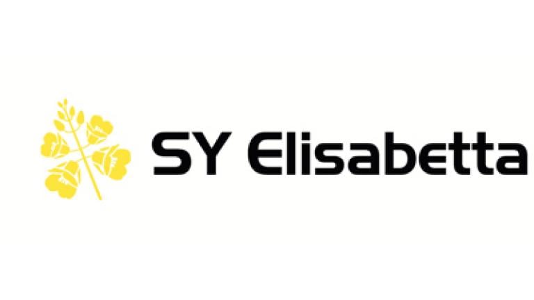 SY Elisabetta osivo řepky Syngenta