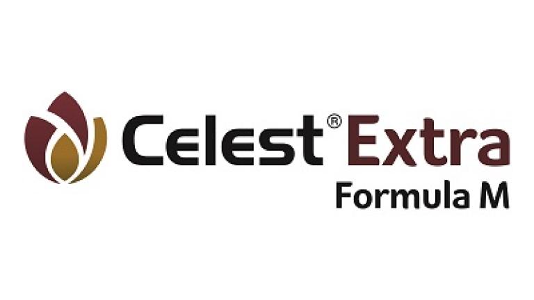 400_x_125_celest_extra_fm_cmyk.jpg