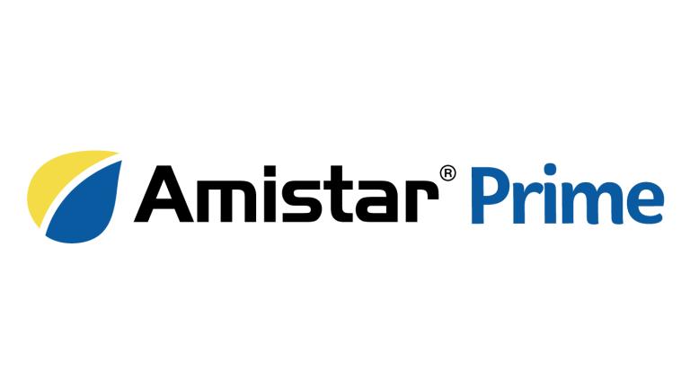 amistarprime_rgb.jpg
