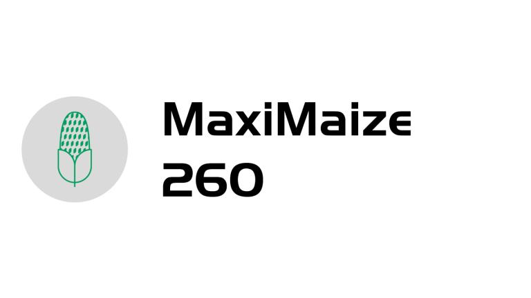 MaxiMaize 260- logo