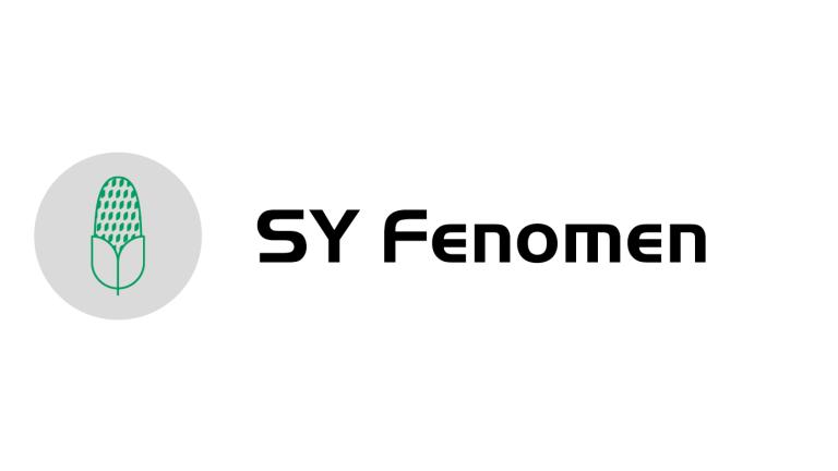 fenomen-logo