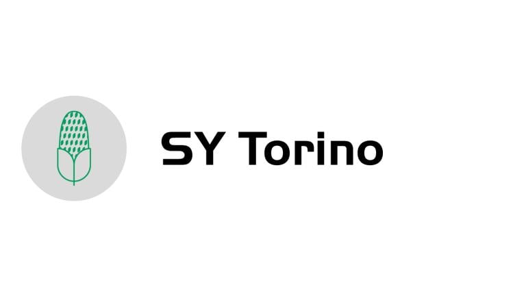torino-logo
