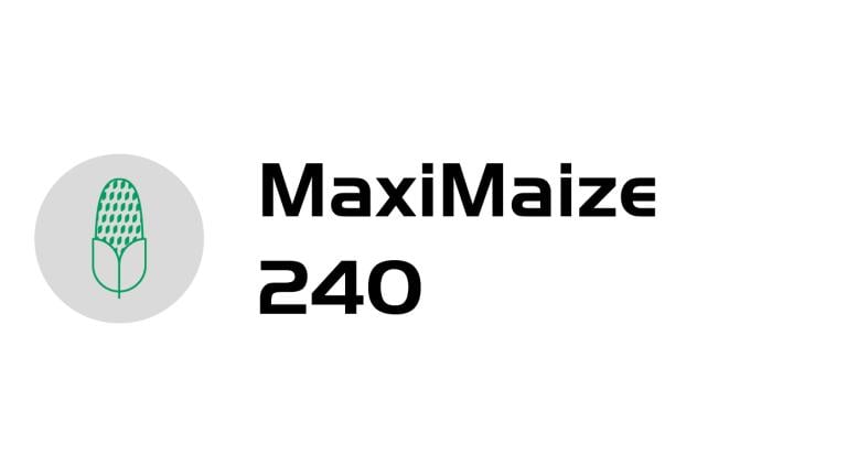 maximaize-240-logo