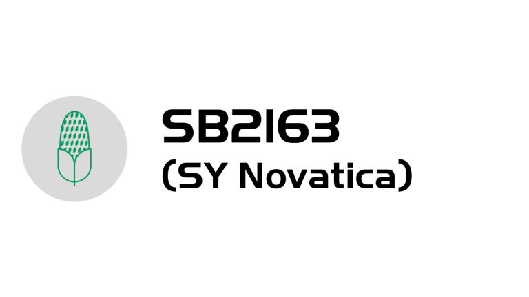 SB2163 (SY Novatica)-logo