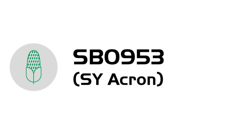acron-logo