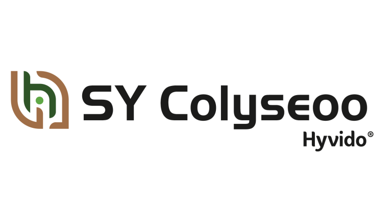 SY_Colyseoo