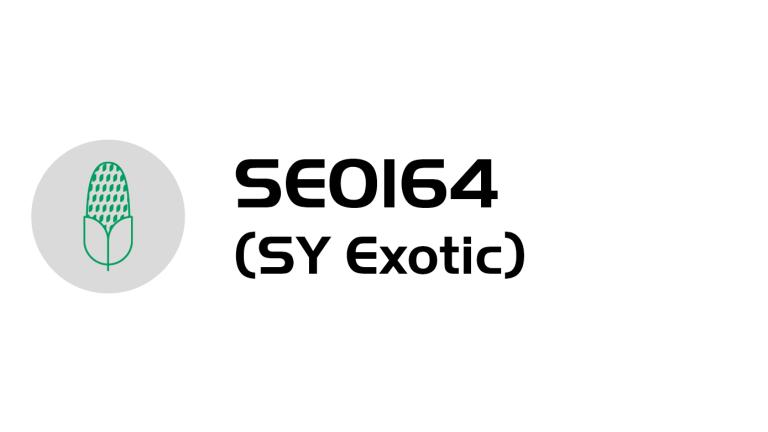 Logo SEOI64 (SY Exotic) s ikonou mikrofonu v zeleném kruhu