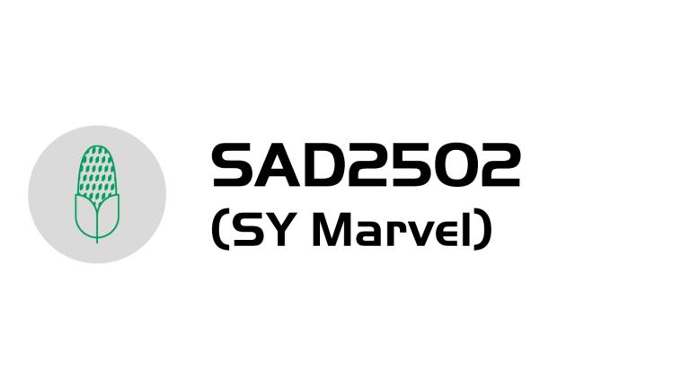 Logo mikrofonu a text „SAD2502 (SY Marvel)“