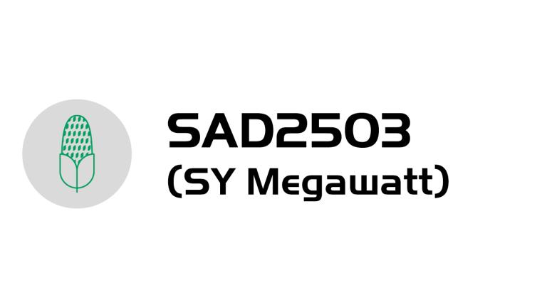 Logo mikrofonu a text „SAD2503 (SY Megawatt)“