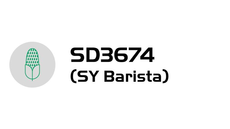 Logo s ikonou mikrofonu a textem „SD3674 (SY Barista)“